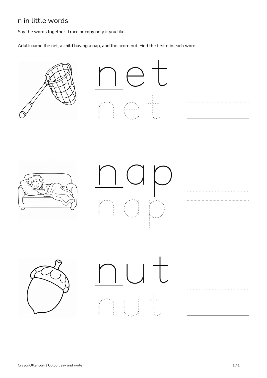 Net, sleeping child and acorn nut pictures beside initial n word models and optional tracing.