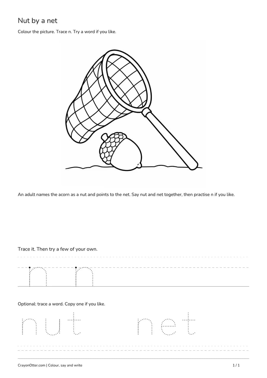 Acorn nut beside a handled net with lowercase n practice and optional nut and net tracing.