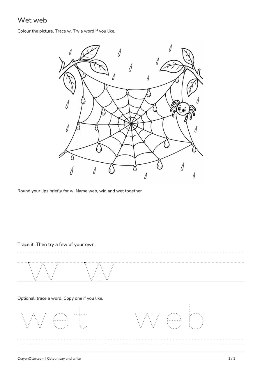 Web with visible water drops beside lowercase w tracing and optional wet and web words.